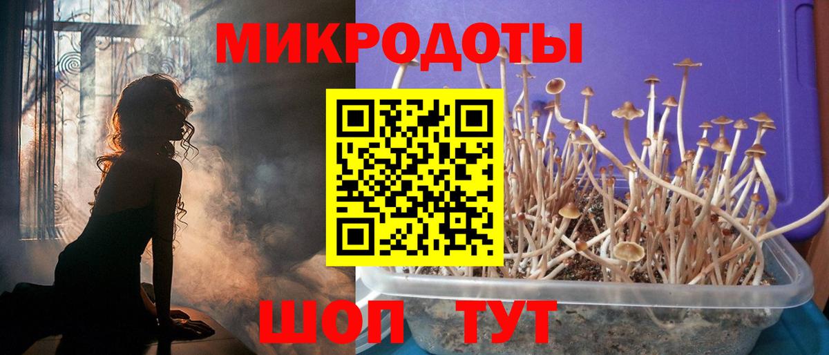 Владивосток  Галлюциногенные грибы мицелий  Псилоцибиновые грибы Psilocybine cubensis  Вход с VPN 