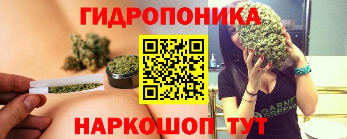 Шишки марихуана AK-47  Шишки марихуана сатива  Владивосток  Вход с VPN 